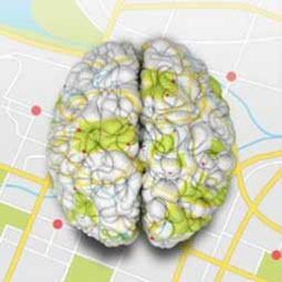 qeeg brain mapping